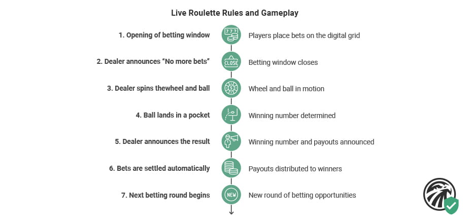 Infographic explaining live roulette rules and gameplay, including betting options, wheel layout, and dealer interactions in a live online casino.
